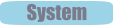System