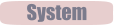 System