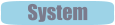 System