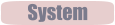 System