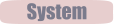 System