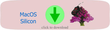 MacOS Silicon click to download